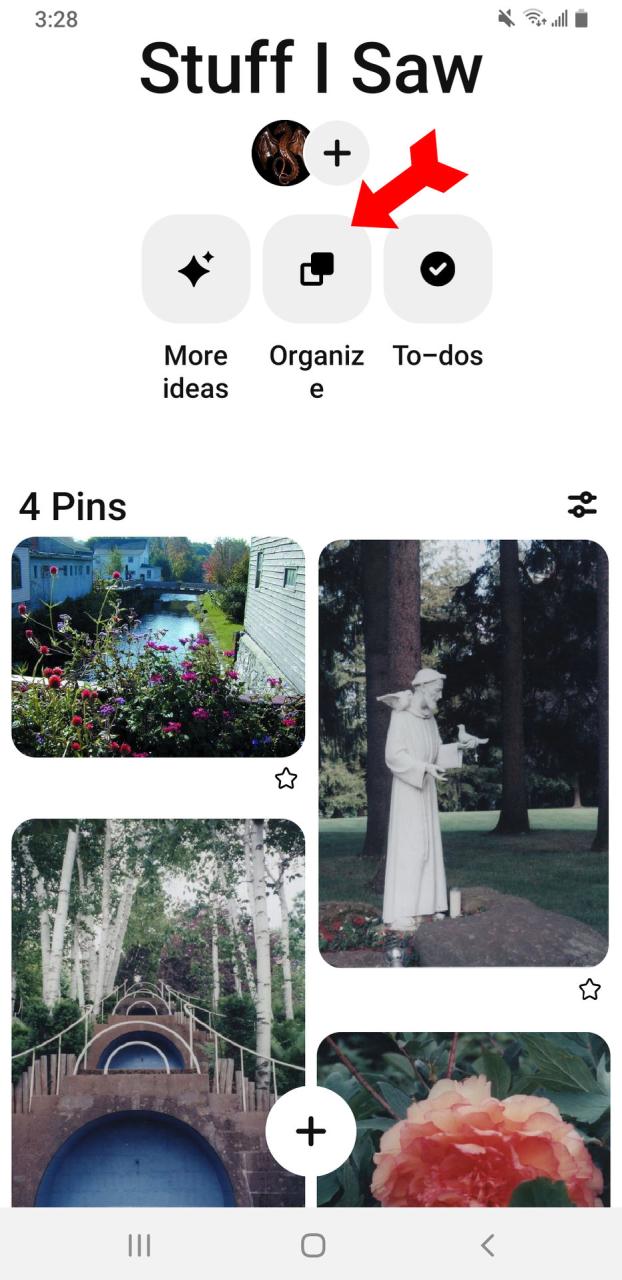 Aplicación de Pinterest Eliminar Pines Vista de tablero