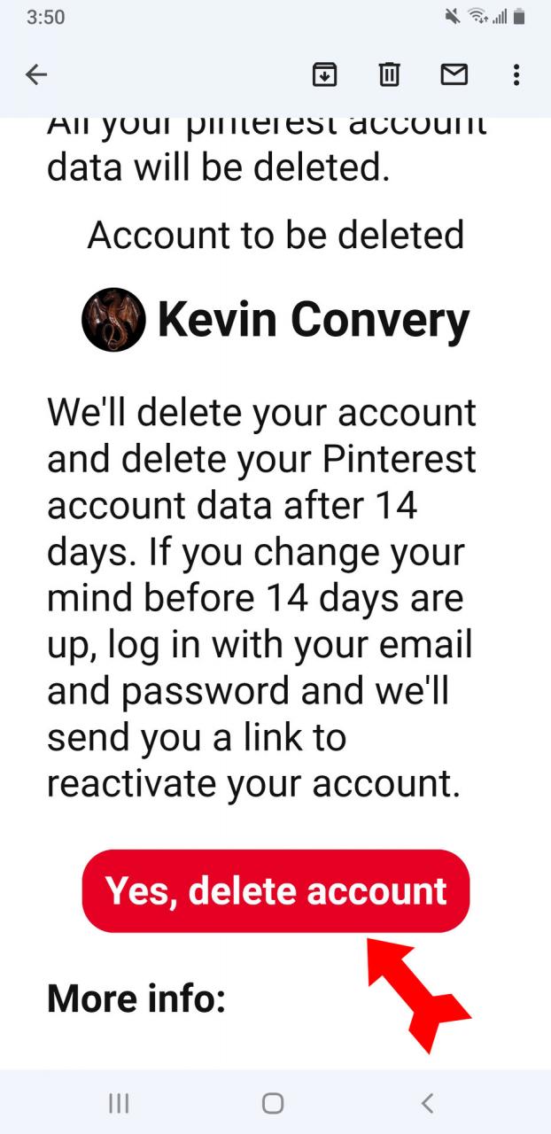 Pinterest Eliminar cuenta Correo electrónico de la aplicación Confirmar eliminación