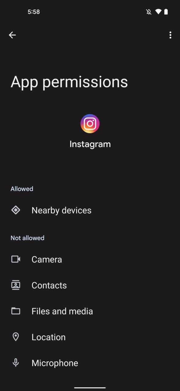 Permisos de la aplicación de Instagram 4