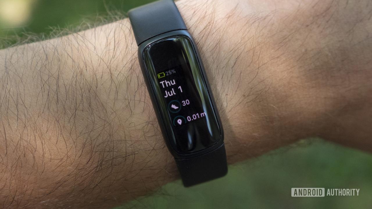 Fitbit Luxe revisa las estadísticas diarias de duración de la batería