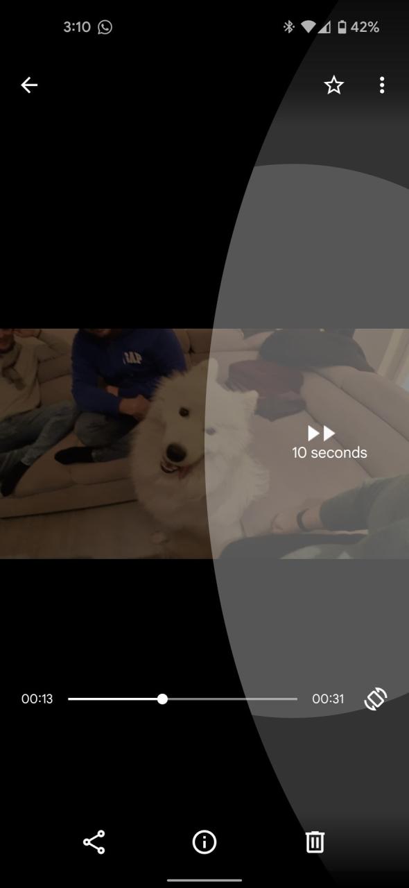 Archivos de Google que muestra un video de un perro con una superposición de gestos de omisión.