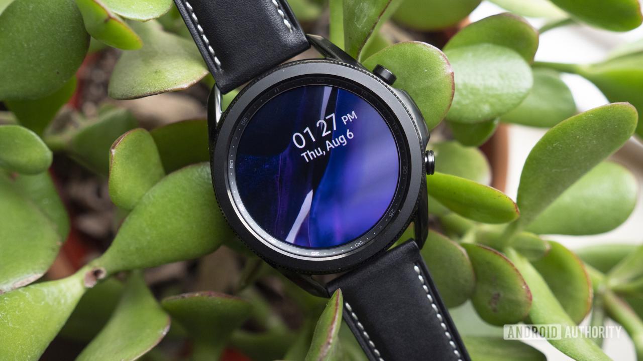 Un Samsung Galaxy Watch 3 muestra una esfera de reloj minimalista y descansa sobre una planta.